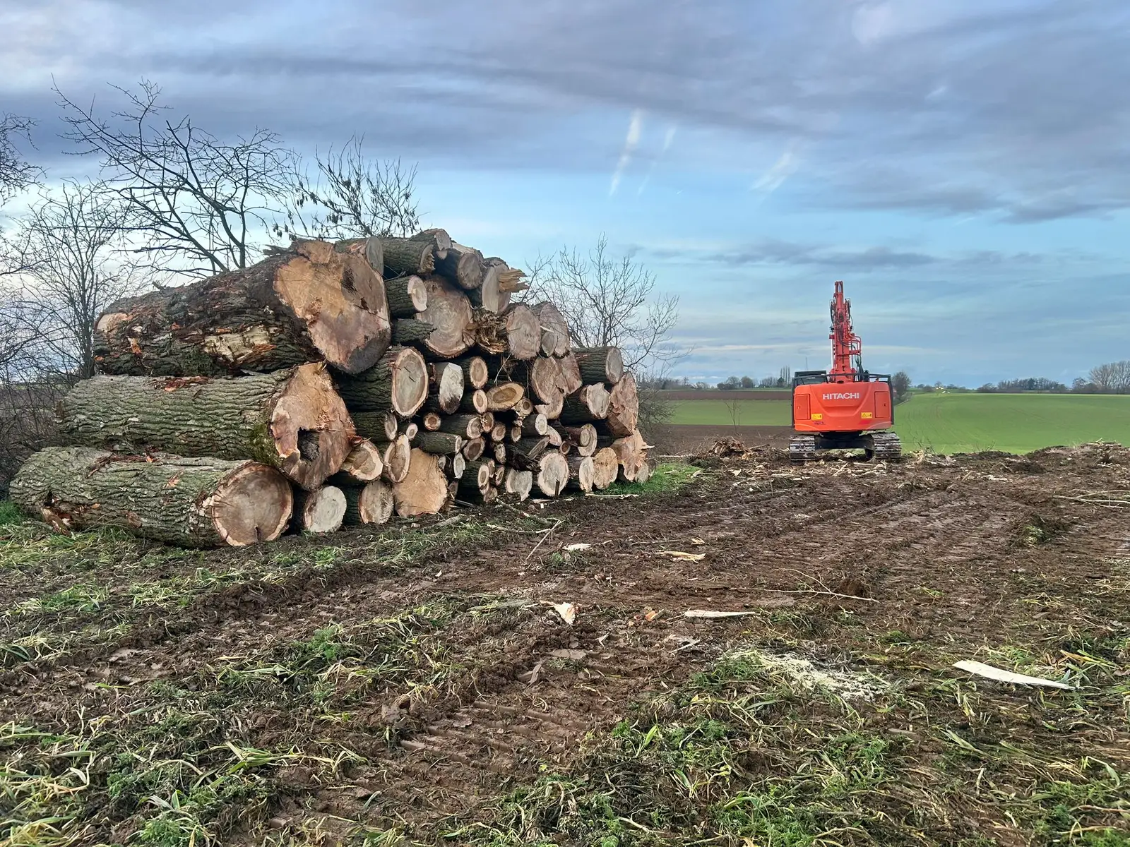 Grumes empilées sur un chantier forestier avec pelle mécanique